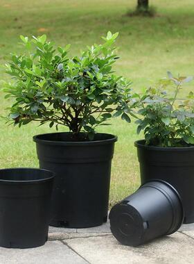 黑色新款二代控根加仑盆多肉绿萝月季兰花石斛透气多孔种植育苗盆