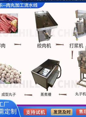 火锅子丸子猪肉丸子制作工设备 牛肉丸成套加工373设备 四喜丸加