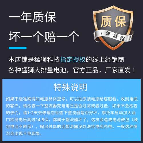 猛狮机车电瓶适用哈雷883 1200 x48/v72硬汉750蓄电池12V14L - 图2