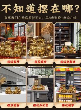 貔貅摆件聚财纯铜公母一对家用办公室居家客厅霸王豸皮丘
