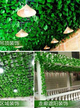 仿真葡萄藤装饰室内外绿色叶子造型吊顶阳光房遮挡水管缠绕藤条花