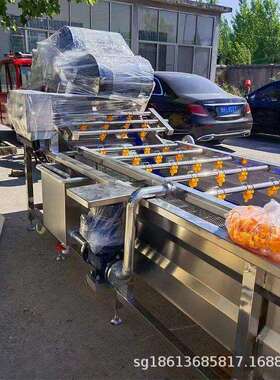 水果清洗机果蔬加工配套清洗上料机去渣质苹果梨子樱桃清洗设备