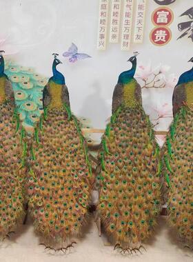 孔雀标本真羽毛落地大摆件客厅酒店装饰工艺开 业送礼礼品道具模