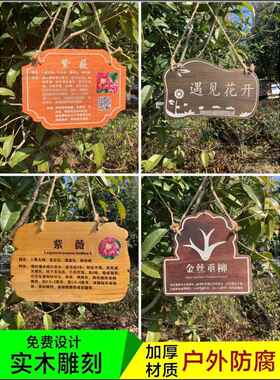ZQ植树节树木挂牌花木介绍牌植物品名吊牌幼儿园认养防腐标识牌