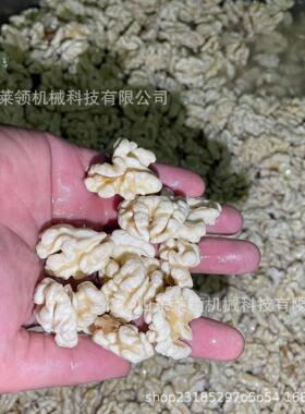 多功能仁核桃去设备坚果类15666882脱皮清洗机器夏威夷果桃山皮核