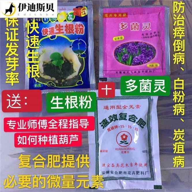 特小号葫芦翠玉苗翡翠墨绿苗秧文玩手捻小八宝亚腰三挺特大巨型盆-图3