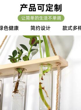 求精挂壁玻璃水培试管绿植装饰品悬挂式木架试管玻璃花瓶植物容器