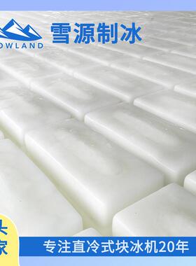 船雪源高效节能大ZL50T-R2型直式块冰机24冷小稳定出冰远洋渔业时