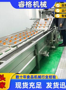 不锈钢食品清洗去污加工机械设备 商用叶类蔬菜气泡清洗机流水线