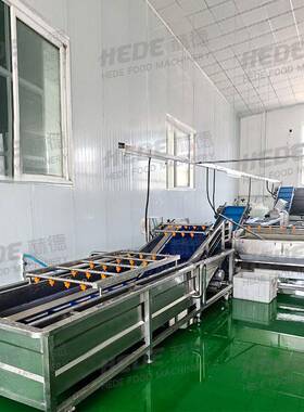 鼓泡式荔枝洗泥机连续式果蔬加工成套设备提升式香橙清洗机
