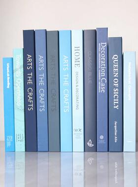 蓝色简单装饰真书样板房展示装饰书样板房珠宝饰品展示道具书