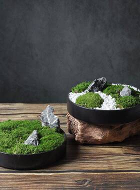新中式仿生真绿植永苔藓摆件微景绿桌1植面假山造景软装饰观品样