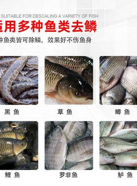 商用自动去鱼鳞机毛刷式结构大小鱼去鱼鳞分离快速去鳞不伤鱼