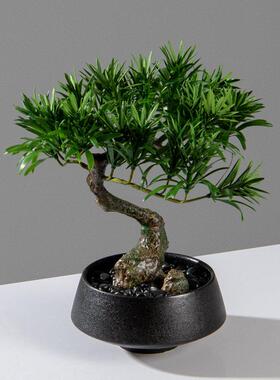 仿真迎客松绿植盆景新中式日式案几书房茶室书法桌洽谈桌盆栽摆件