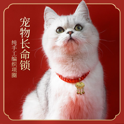 猫饰品宠物项圈狗项链猫项圈可调节手工编织红绳猫围脖招财铃铛 - 图0