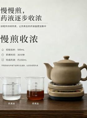 原陶中医熬药分体砂锅全自动煎壶药家用专电用炖药器煲DF-3.0D煮