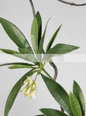新中式仿真花艺永生苔藓盆景小原流插花艺茶室样板间创意绿植摆件