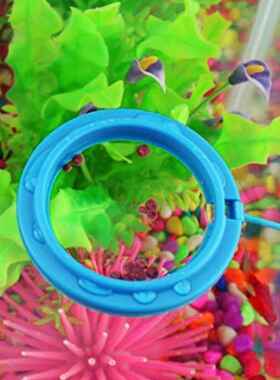 Fish Feeding Aquarium Fish Tank Ring Feeder Station Floating