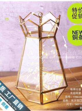 悬挂铁艺花盆led灯罩北欧简约创意植物盆栽装饰轻奢个性吊兰花器
