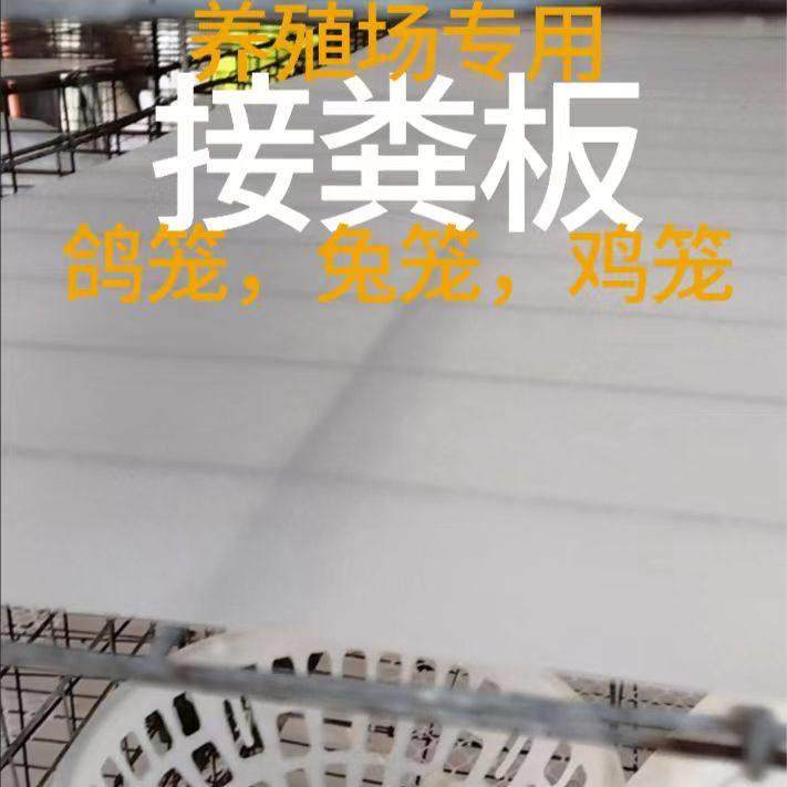 养殖场专用粪板鸽子粪板鸡笼垫板挡板隔粪板加厚乳白兔子接粪板,淘宝优惠券,粉丝福利购,淘宝优惠卷