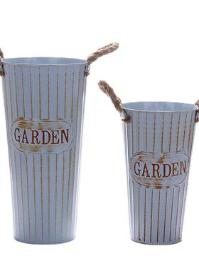 鲜花鲜花养花干花花盆装饰摆件