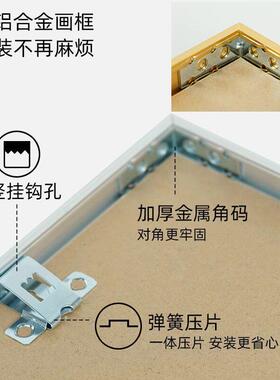 Cavallini植物花卉蝴蝶1000片500片拼图框架裱框70*55*35画框相框