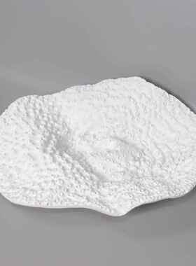 色现代简几约白珊瑚果餐盘创意家居样板房别珊瑚果盘墅桌茶托盘摆