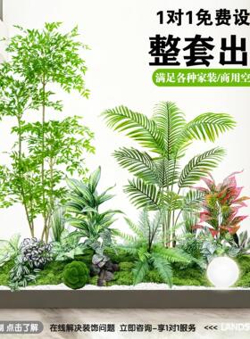 仿真植物造景盆景套装客厅装饰绿植组合橱窗装饰风家居摆件氛围树