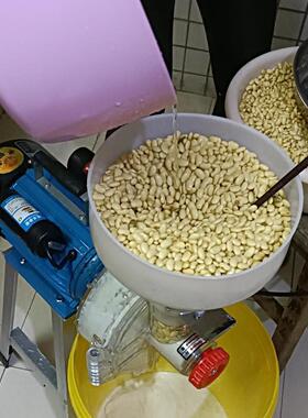 磨浆机更干净家用小型多功能打浆机电动石磨豆花机商用肠粉米浆机