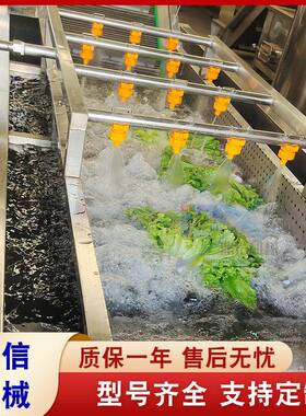 定制全自动西兰花清洗机 压喷淋洗菜设备 不锈钢菜花清洗机厂家