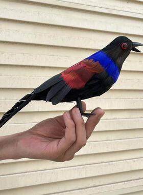 彷真羽毛红毛鸡假媒园林装饰假鸟工艺品摆饰摄影道具教学动物模型