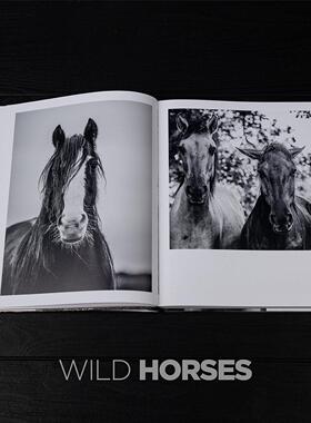 马装饰真正的书装饰品样板房售楼处书咖啡桌客厅摄影道具黑白中国