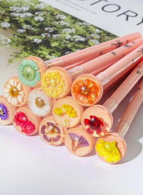 开学季植物元素忽忘我满天星腊梅菊花石竹女孩开学礼物鲜花圆球笔