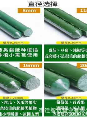 花架爬藤支架植物支撑杆花盆支架铁线番茄瓜果固定支撑架包塑钢管