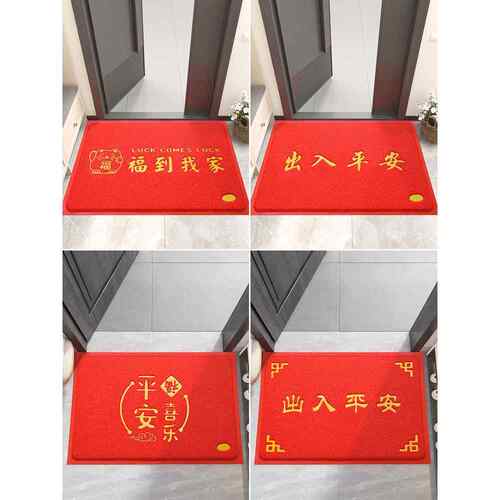 丝圈地垫入户门垫进门门口脚垫2025新款红色门外垫子出入平安地毯 - 图0