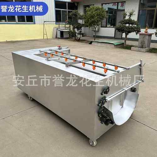 U型花生果毛辊清洗机土豆红薯地瓜去泥沙根茎类毛刷清洗机洗果机 - 图2