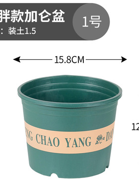 绿萝水培批发花盆塑料小大花瓶