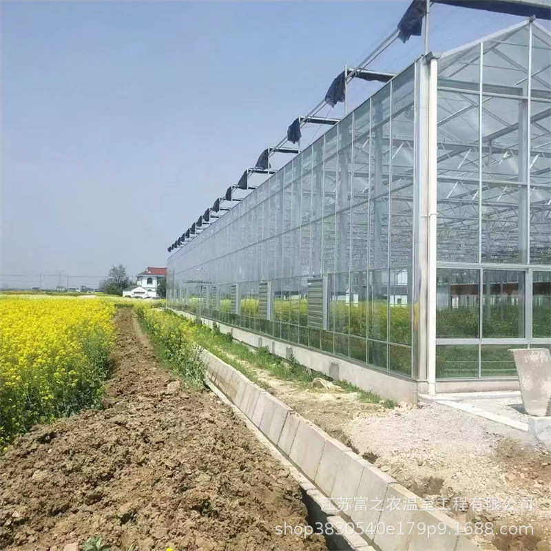 厂家销售蔬菜玻璃温室大棚 观光温室大棚 连栋玻璃温室大棚安装,淘宝优惠券,粉丝福利购,淘宝优惠卷