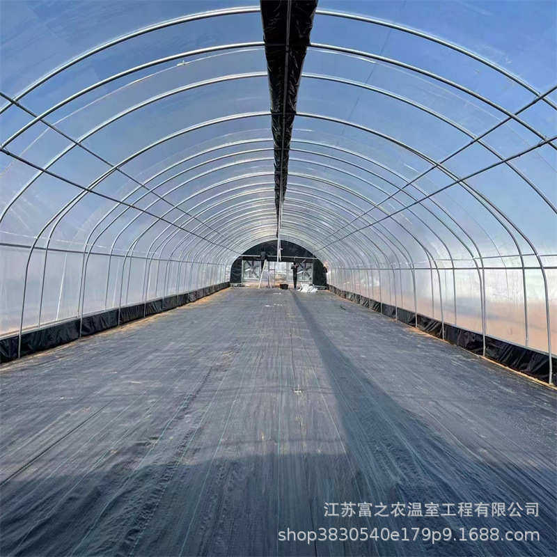 厂家上门安装连栋薄膜温室大棚 双拱双膜拱棚 智能育苗温室大棚,淘宝优惠券,粉丝福利购,淘宝优惠卷