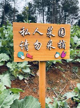 实木户外菜园插地牌幼儿园农场种植区提示牌公园草地指示牌定制