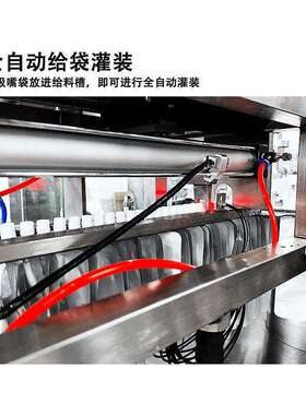 全自动豆浆自立吸嘴袋灌装机斜嘴袋食品饮料果汁沙棘灌装旋盖设