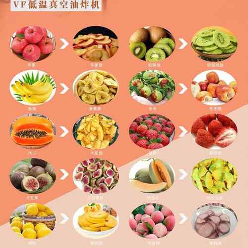 休闲食品加工蘑菇平菇脆果蔬脆真空油炸设备VF低温脱油脱水设备 - 图2