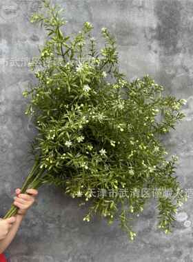 厂婚家仿真花九里香婚0729庆礼道具色吊顶家居装饰绿摆件绿布植景