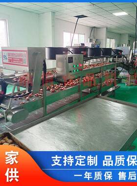 鼎信 兰花豆燃煤油炸机 油水混合纯油油炸机 青豆连续油炸流水线