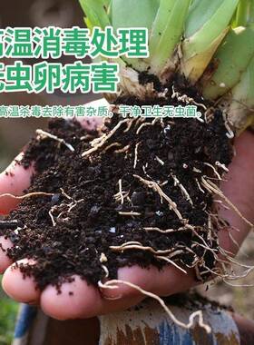 通用型有机营养土家用养花种菜种植土绿植多肉泥炭土壤植物花土
