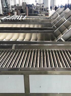 鼓泡式水果清洗机工厂水果加工清洗机大型不锈钢自动化果蔬清洗机