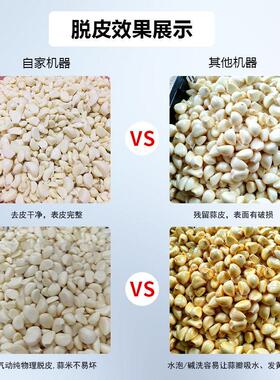 不锈钢小型商用大蒜剥皮机全自动剥蒜去皮机操作简大蒜脱皮机