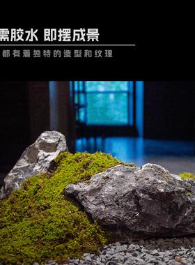 日式庭院造景青龙石新中式枯山水微景观英德石假山石摆件园林大块