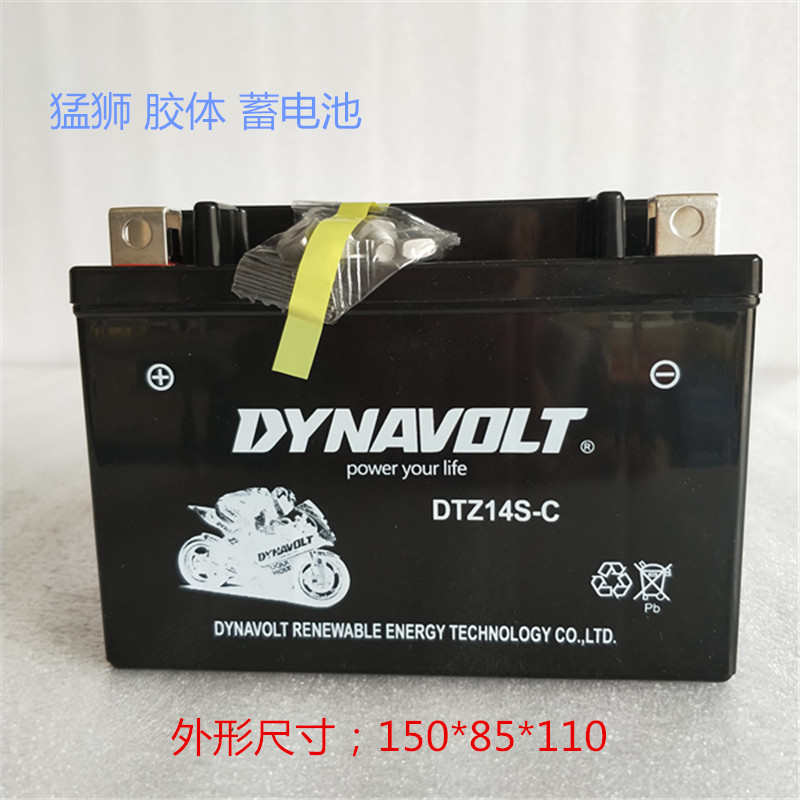 猛狮免维护摩托车蓄电池YTX12v14ZS(11.2A)通用XVZ1300鑫源X5电瓶 - 图2