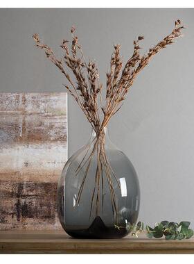 新款手工吹制大肚子玻璃花瓶玻璃淡彩渐变透明水培创意细口插